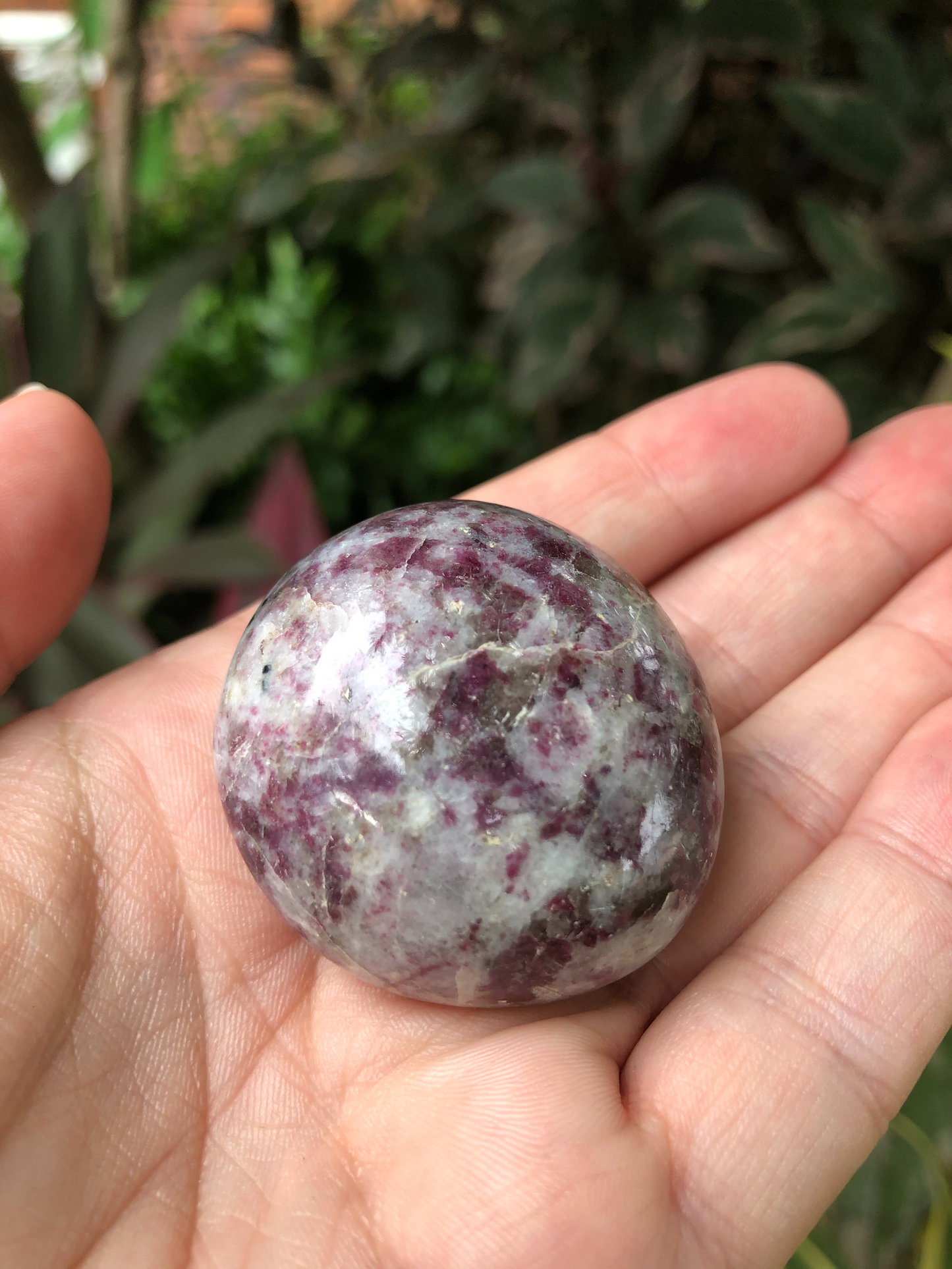 Pink Tourmaline Palm Stone