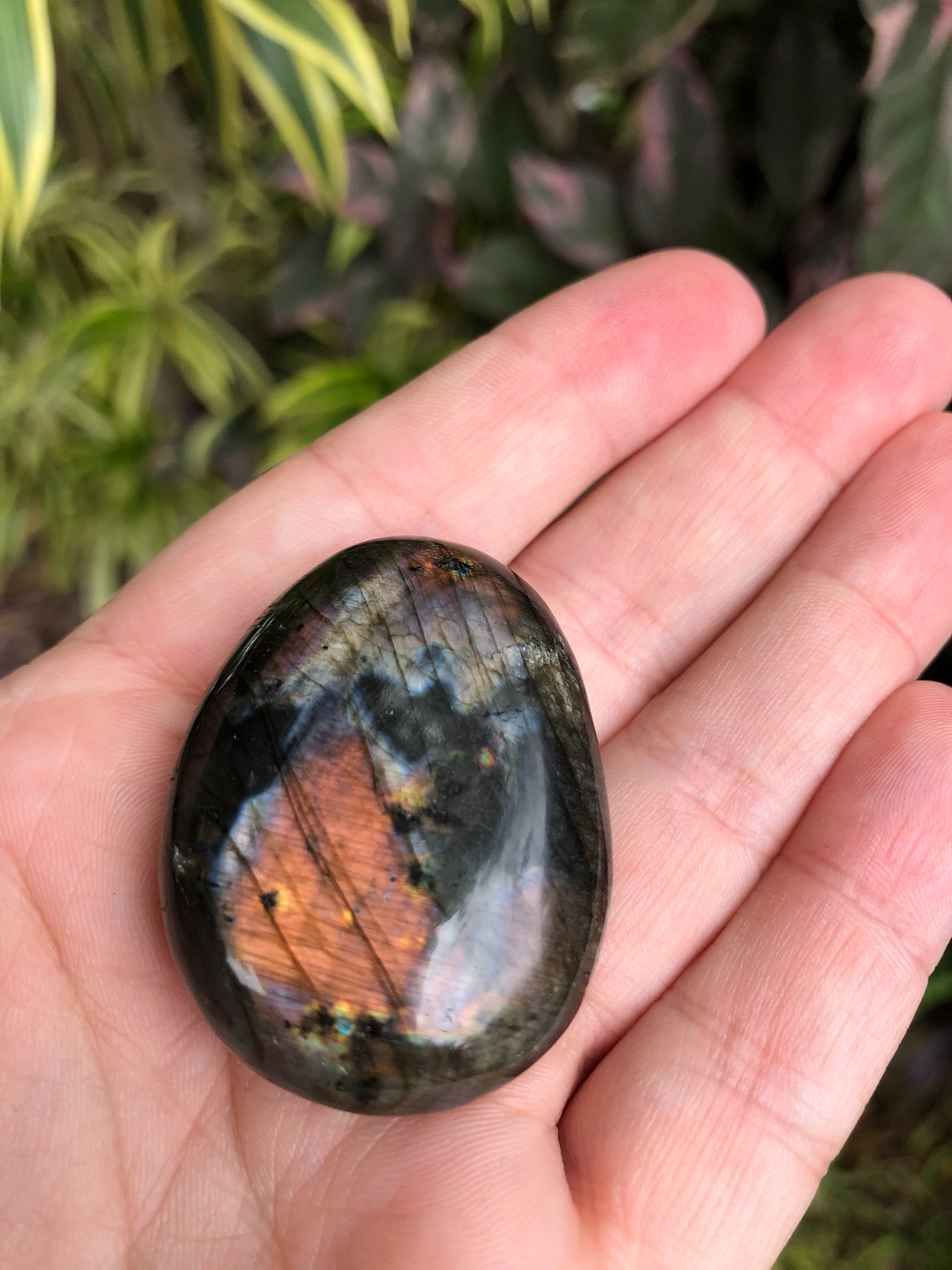 Labradorite Palm Stone