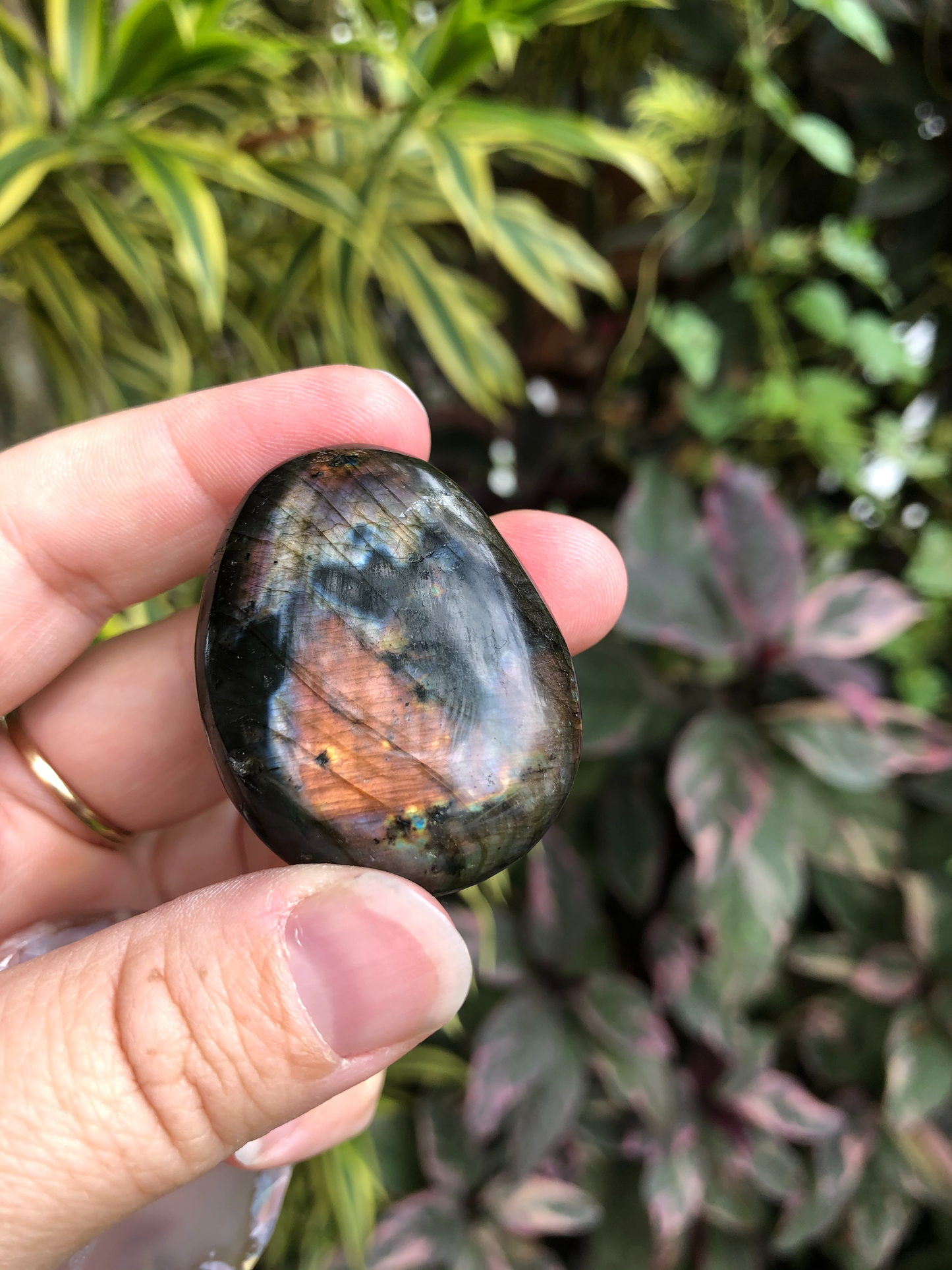 Labradorite Palm Stone