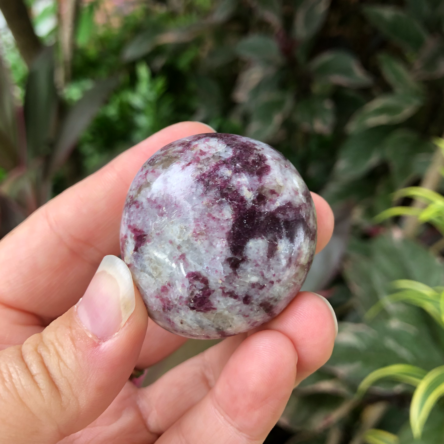 Pink Tourmaline Palm Stone