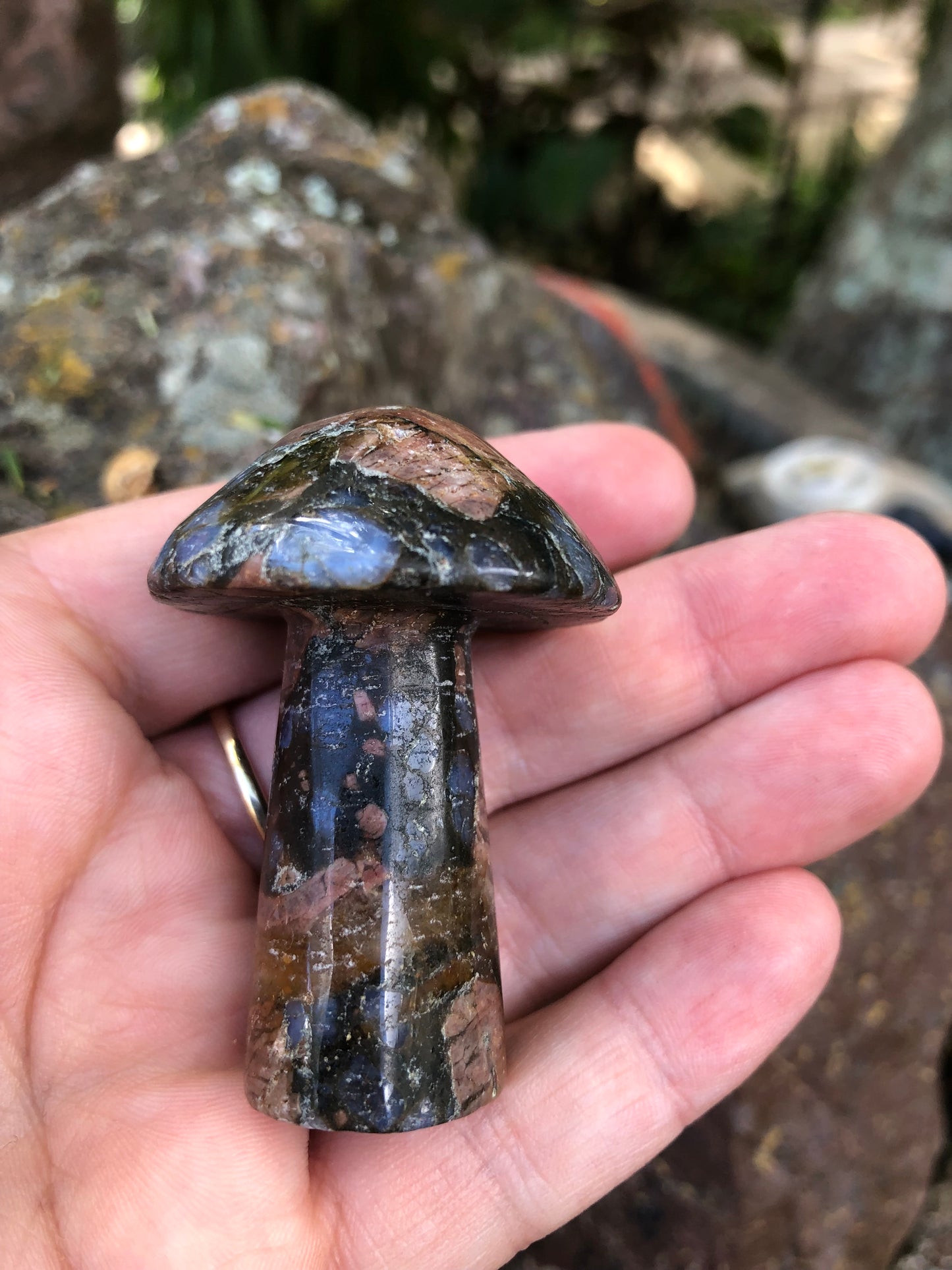 Que Sera Mushroom