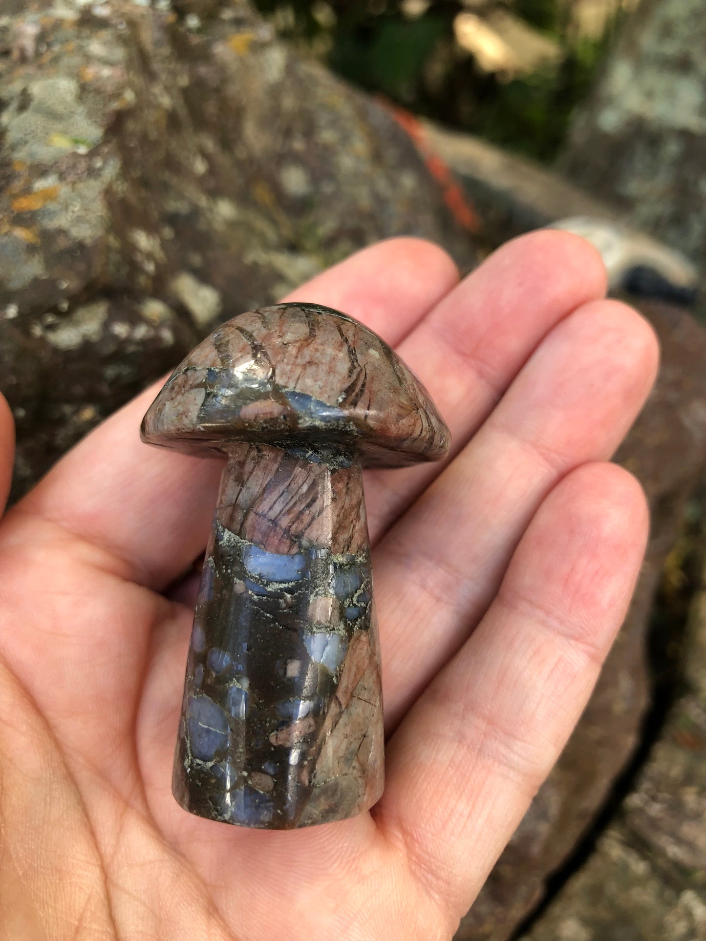 Que Sera Mushroom