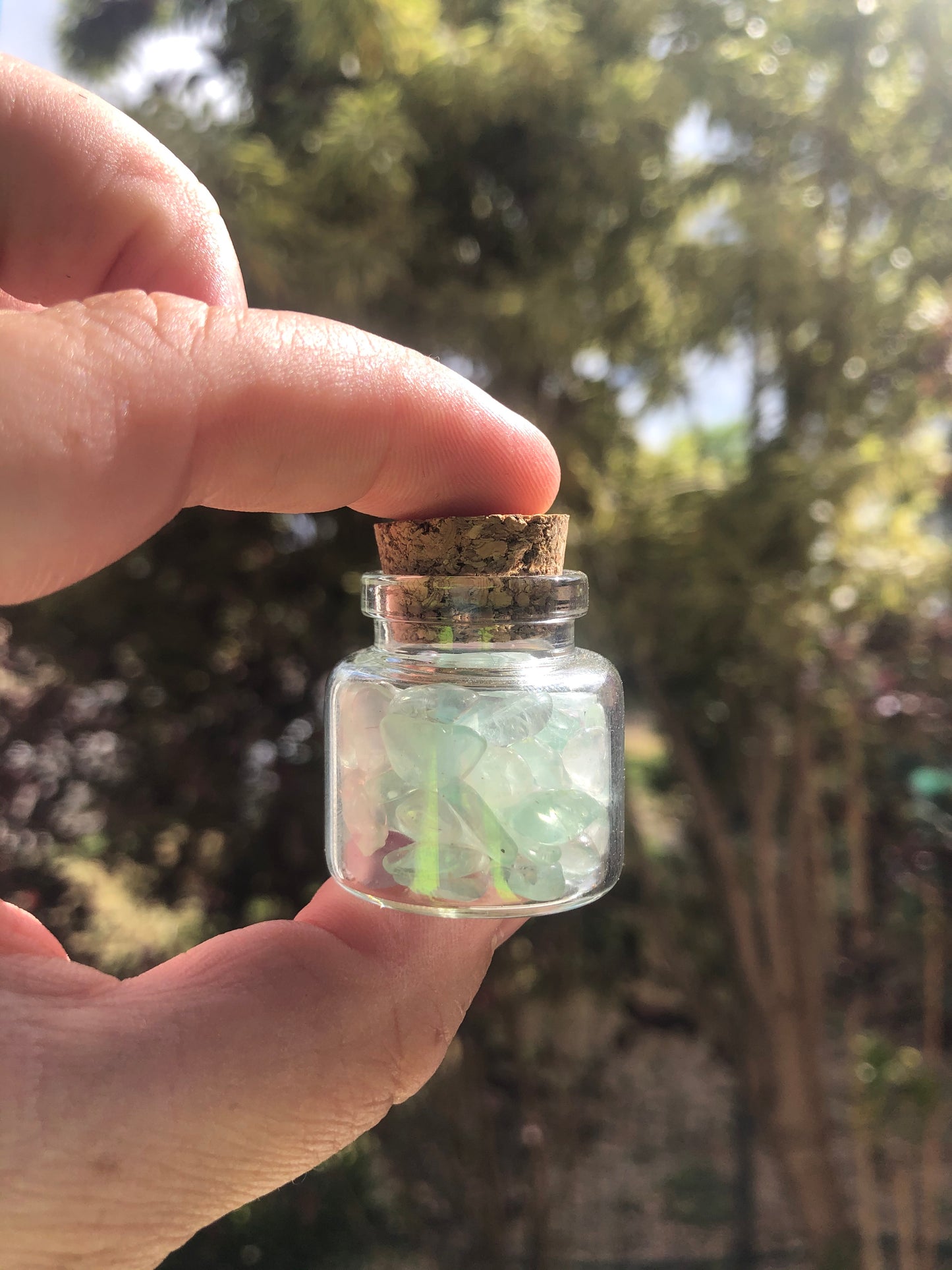 Rainbow Fluorite Wish Bottle