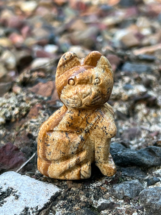 Picture Jasper Cat