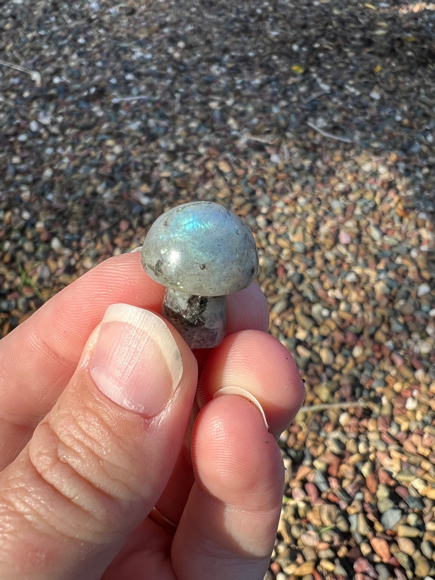 Labradorite Mini Mushroom