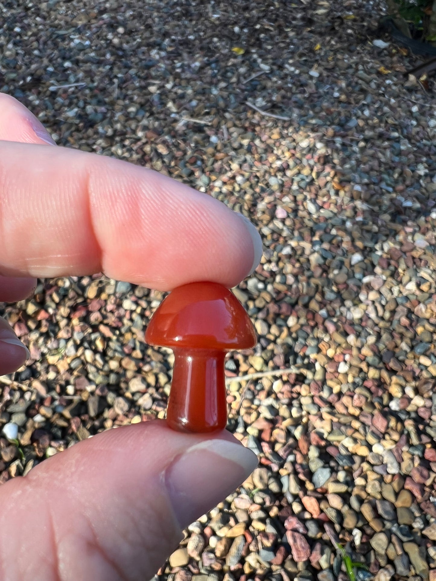 Carnelian Mini Mushroom