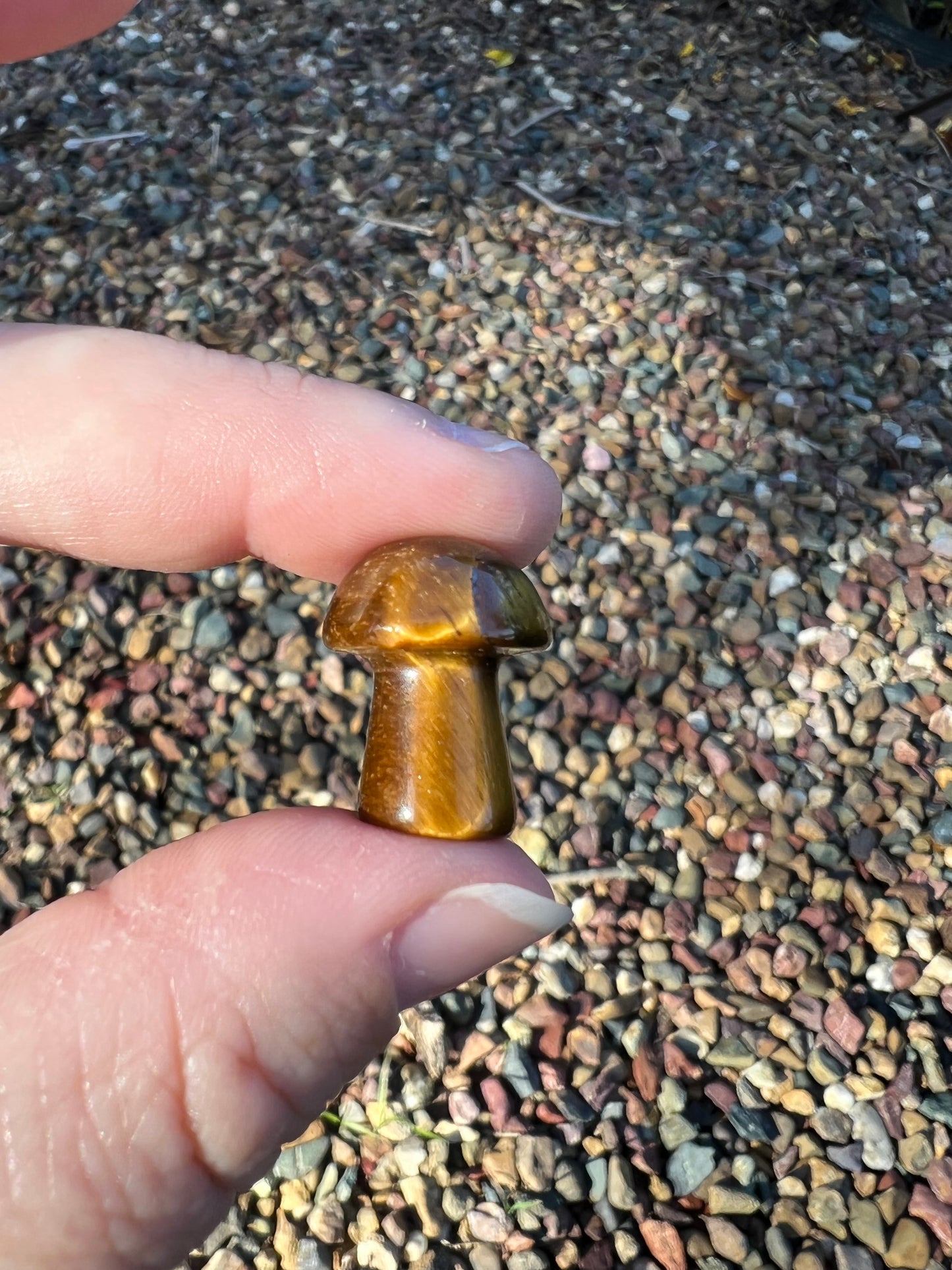 Tiger Eye Mini Mushroom