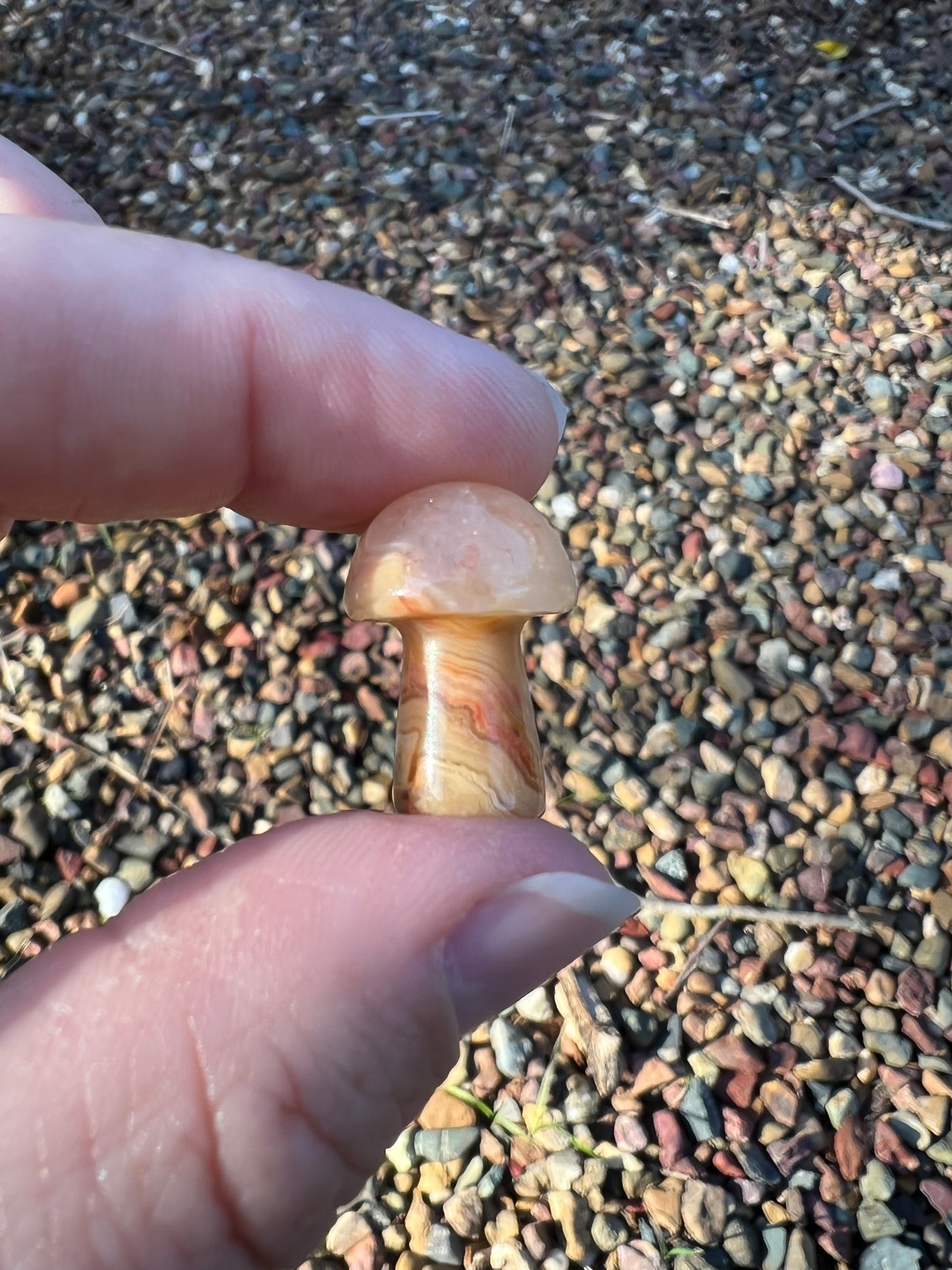 Crazy Lace Agate Mini Mushroom