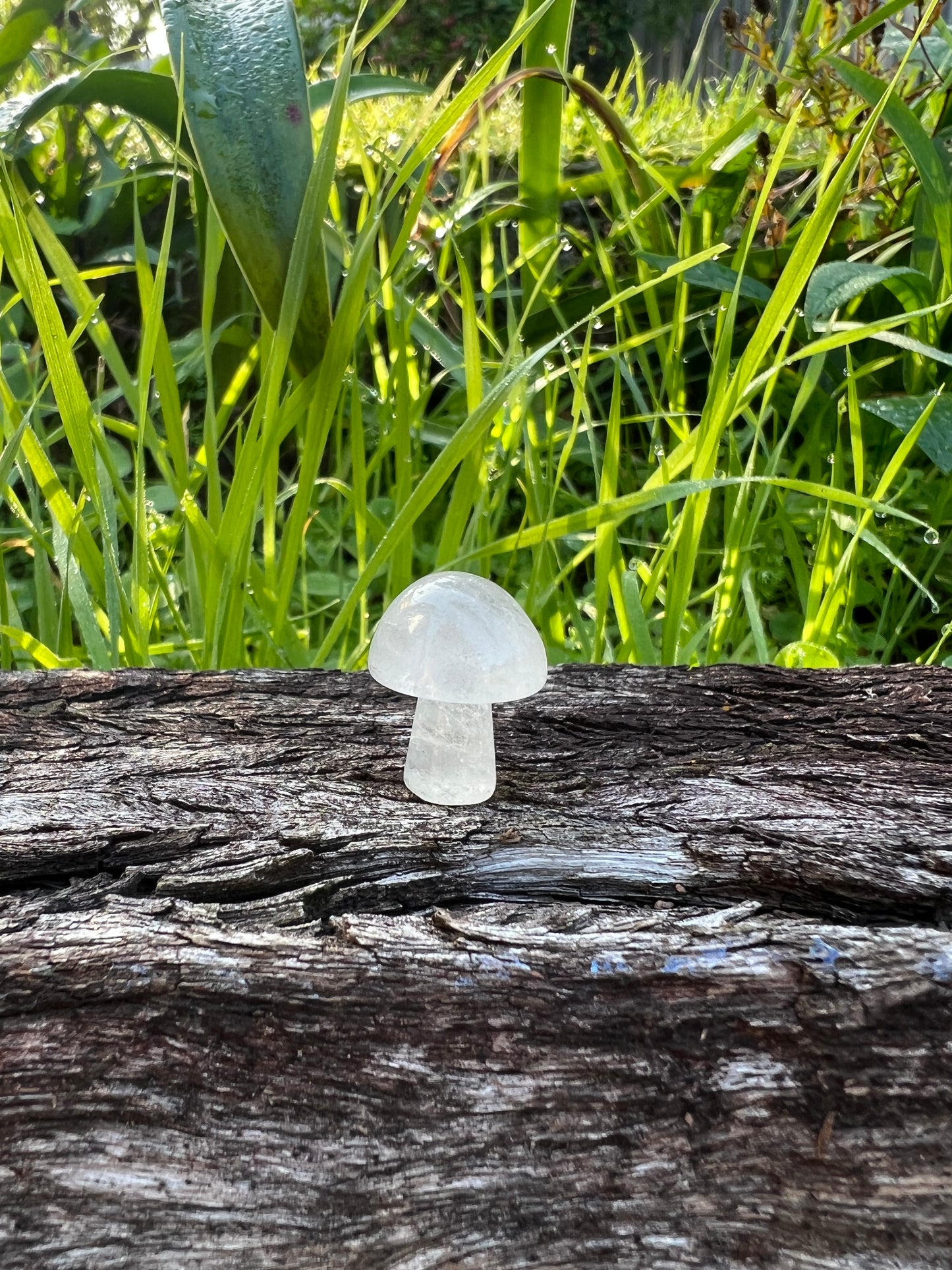 Quartz Mini Mushroom