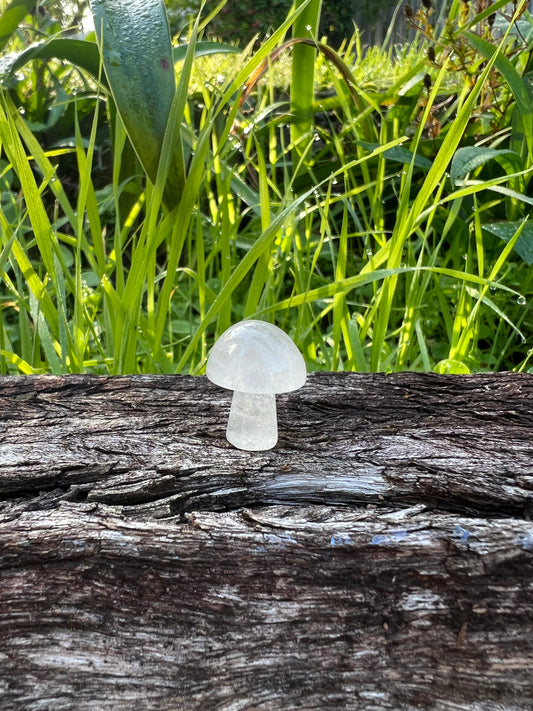 Quartz Mini Mushroom