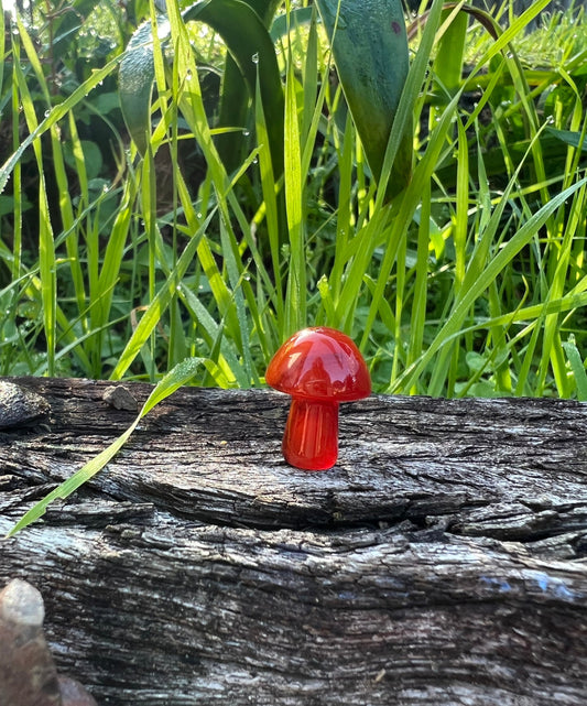 Carnelian Mini Mushroom