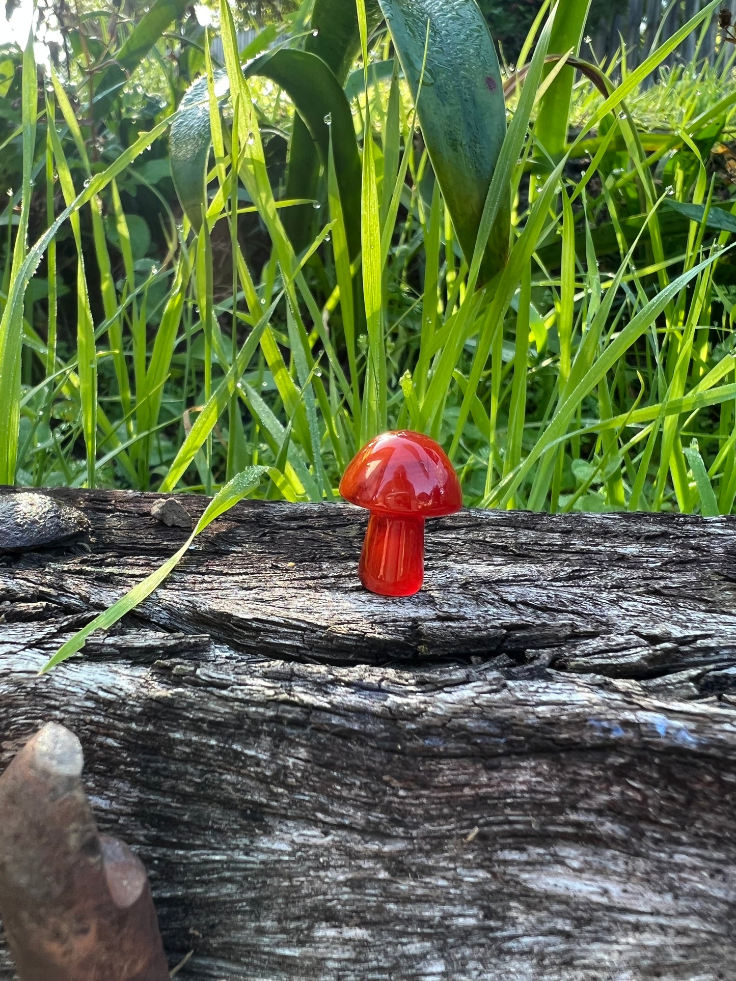 Carnelian Mini Mushroom
