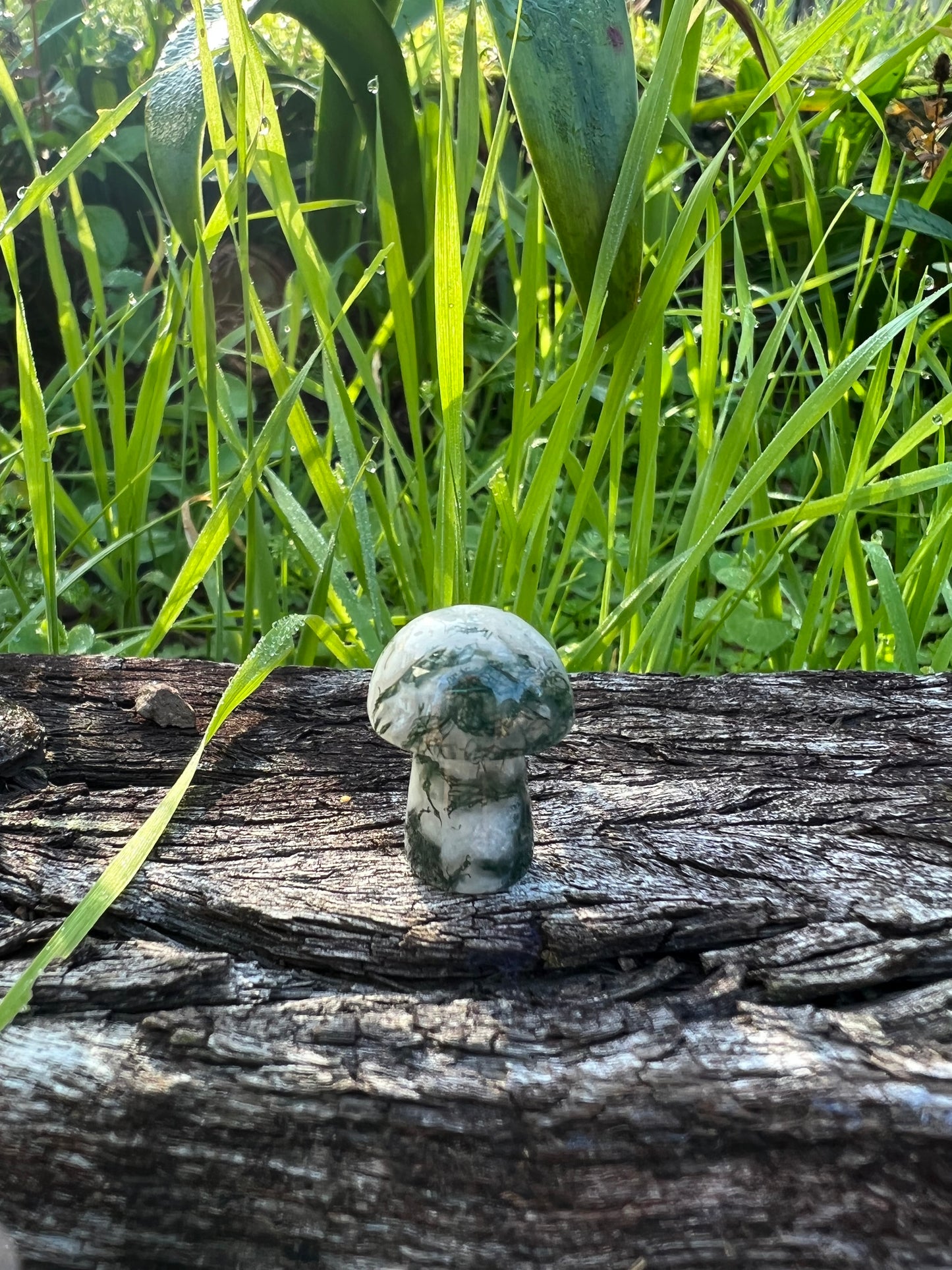 Moss Agate Mini Mushroom