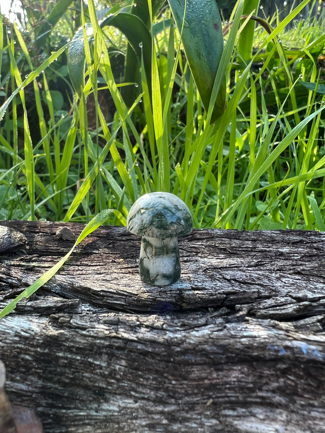 Moss Agate Mini Mushroom