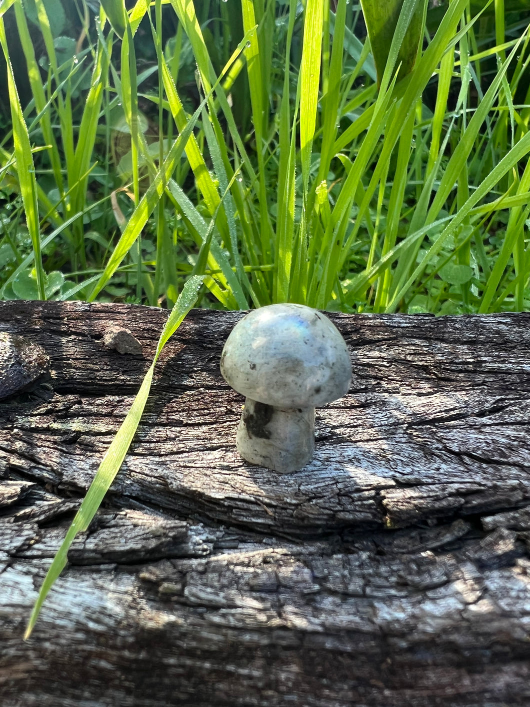 Labradorite Mini Mushroom