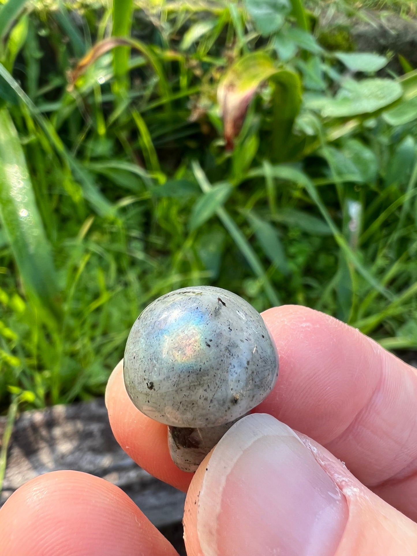 Labradorite Mini Mushroom
