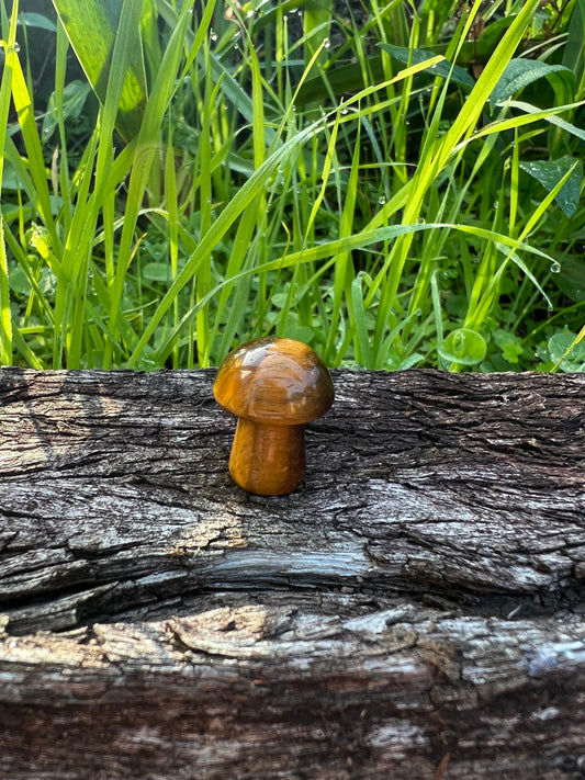 Tiger Eye Mini Mushroom