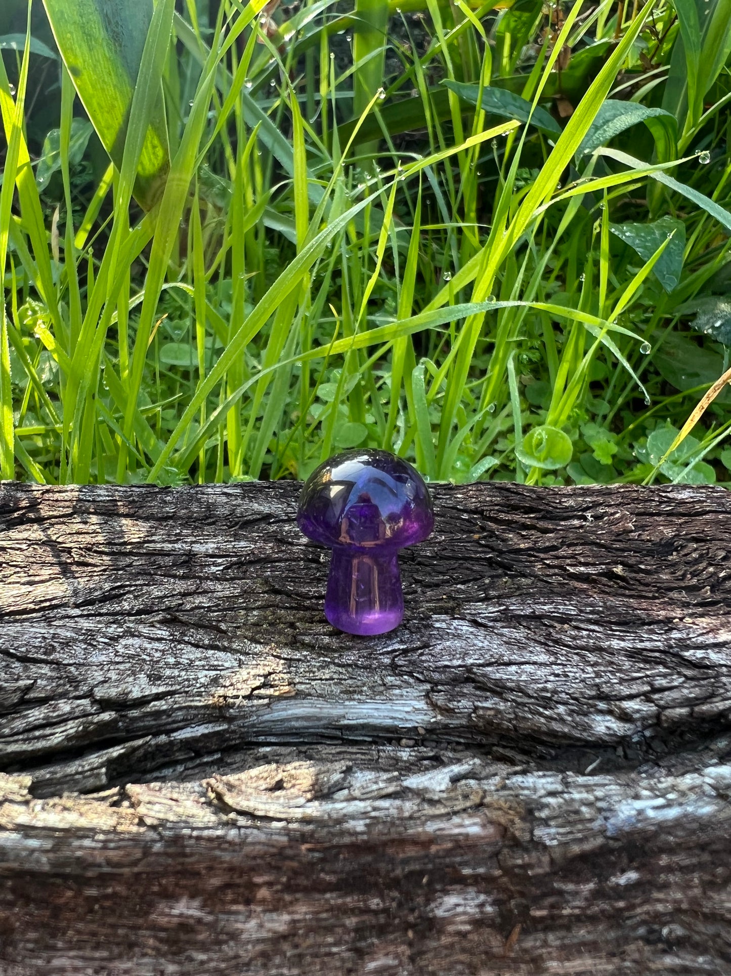 Amethyst Mini Mushroom