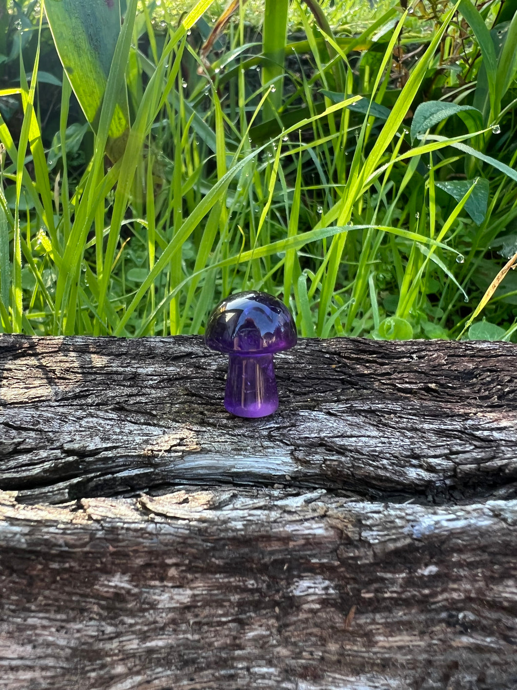 Amethyst Mini Mushroom