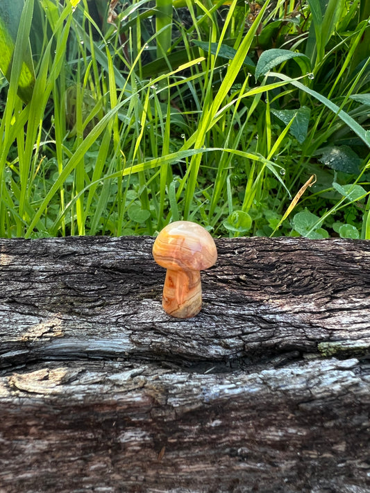 Crazy Lace Agate Mini Mushroom