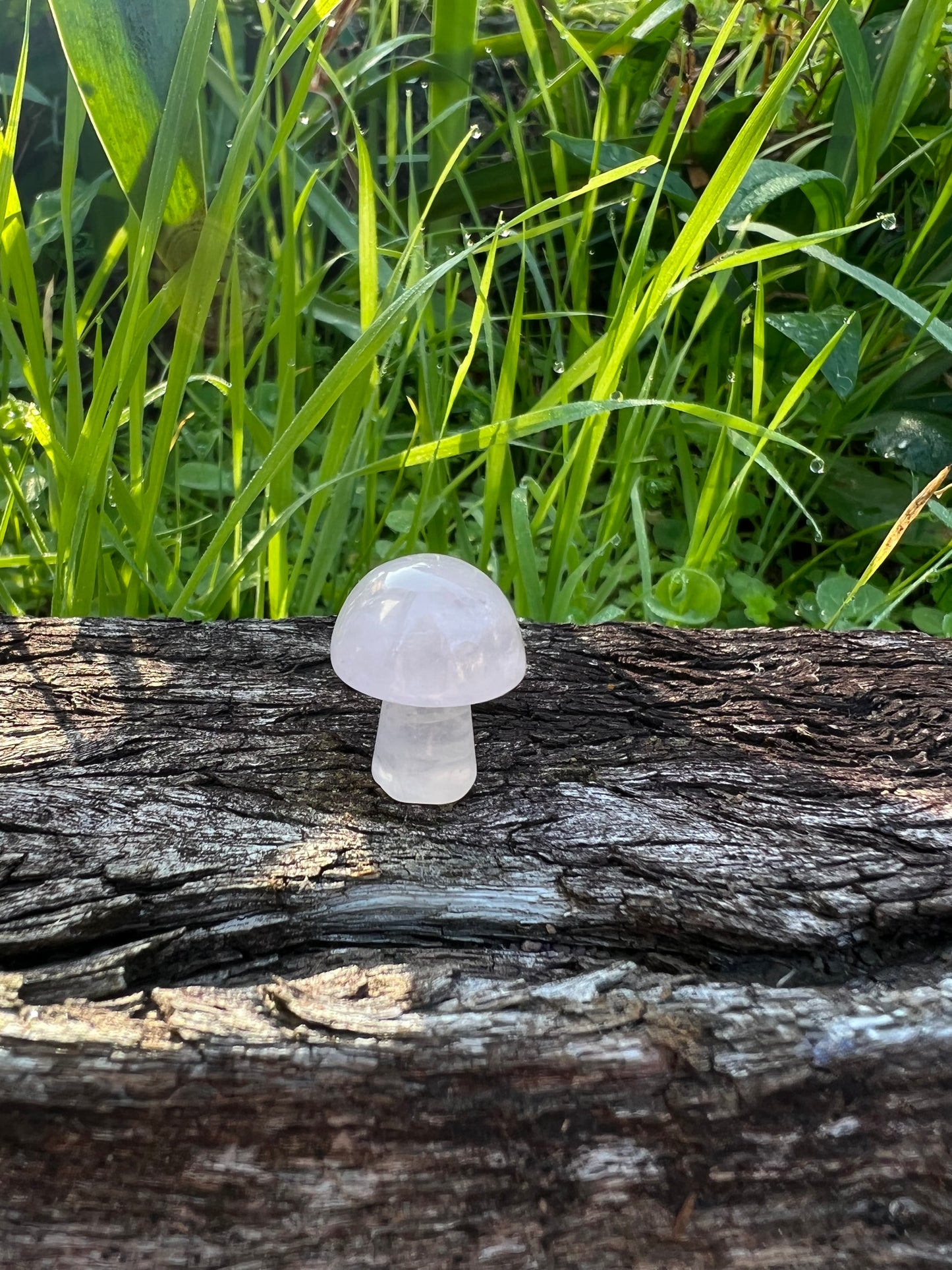 Rose Quartz Mini Mushroom