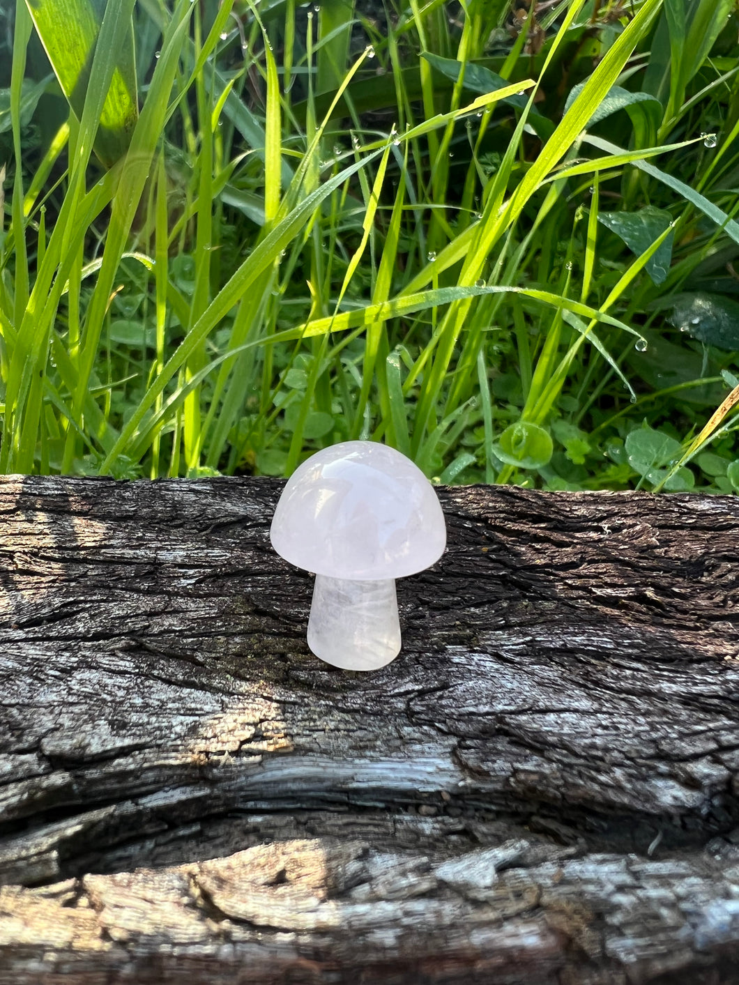 Rose Quartz Mini Mushroom