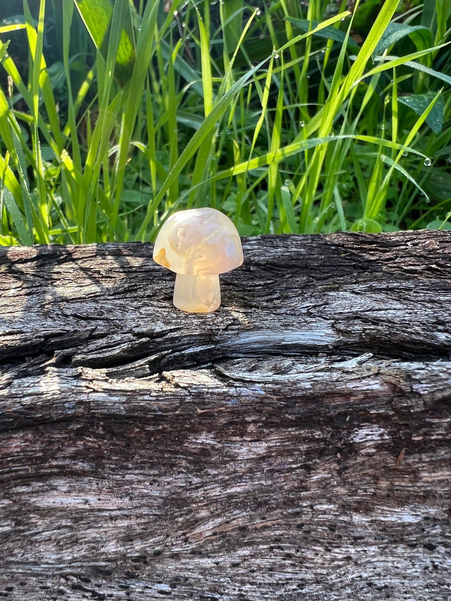 Flower Agate Mini Mushroom