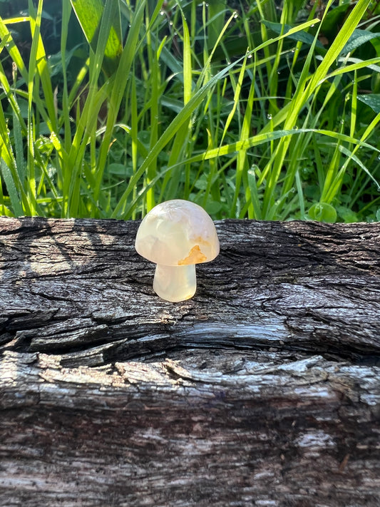 Flower Agate Mini Mushroom