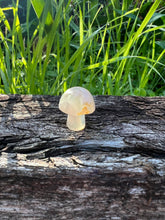 Load image into Gallery viewer, Flower Agate Mini Mushroom
