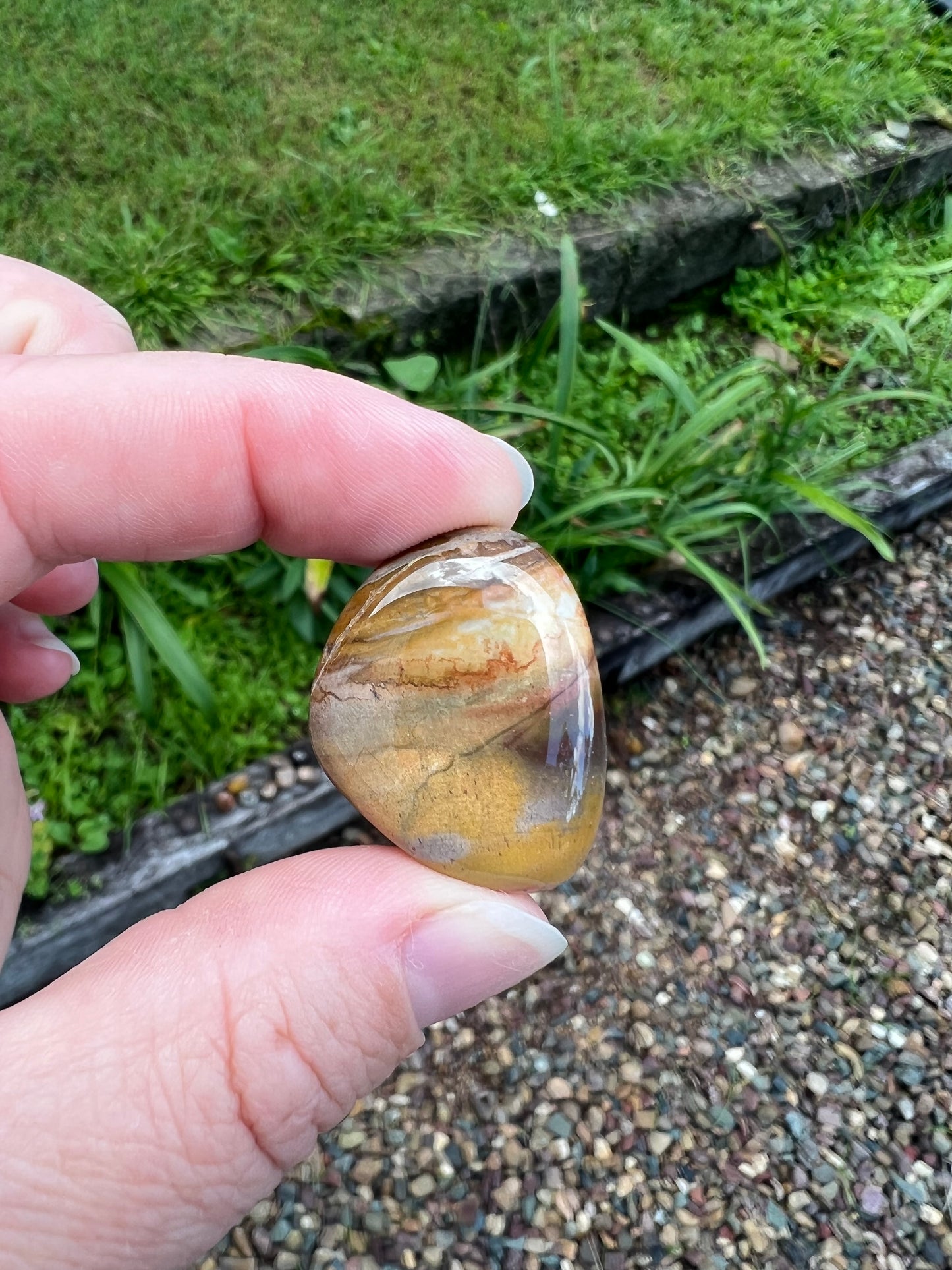 Petrified Wood Tumble