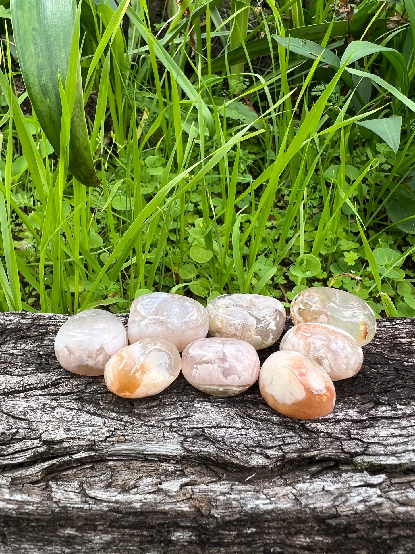 Flower Agate Tumble