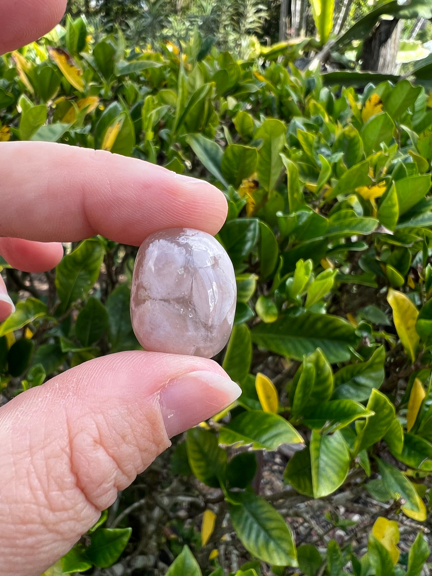 Flower Agate Tumble