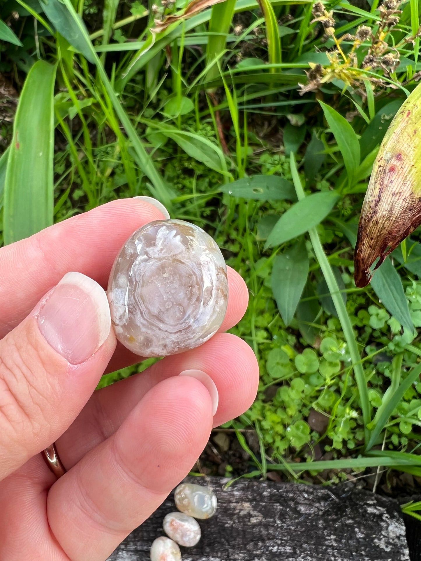 Flower Agate Tumble