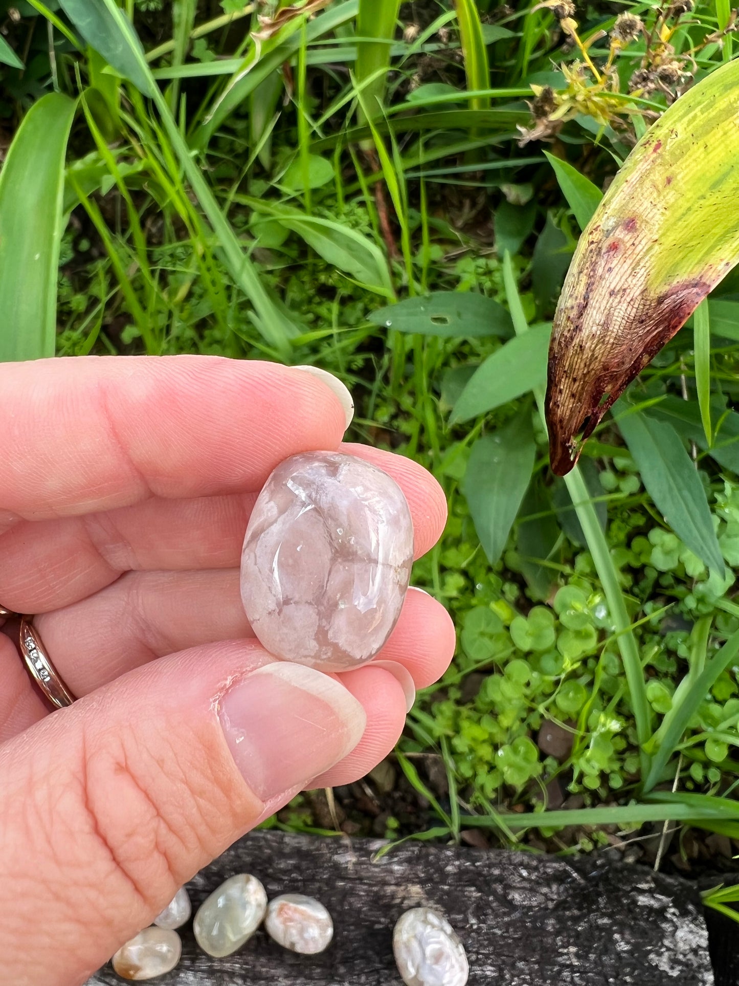 Flower Agate Tumble