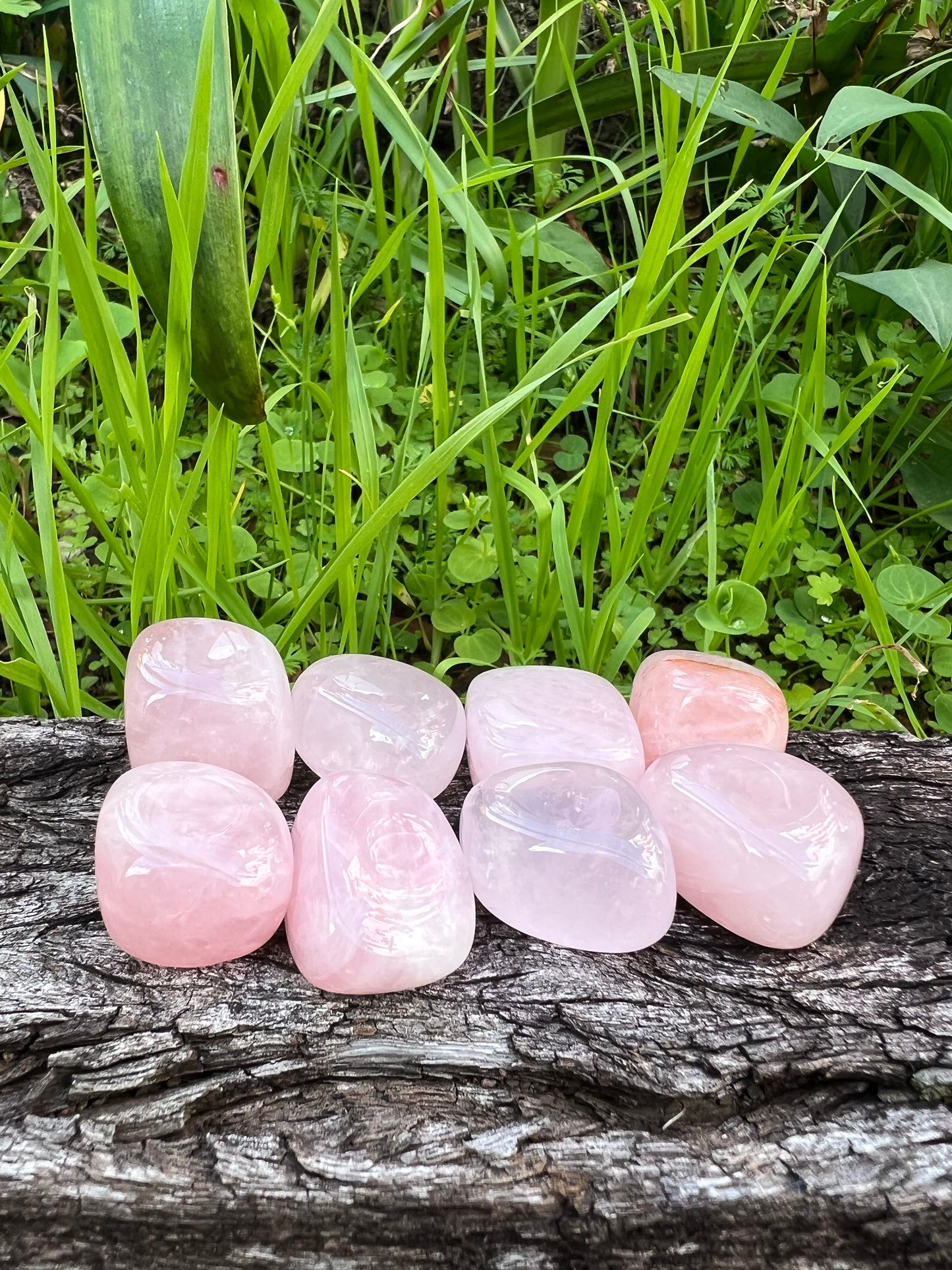 Rose Quartz Tumble