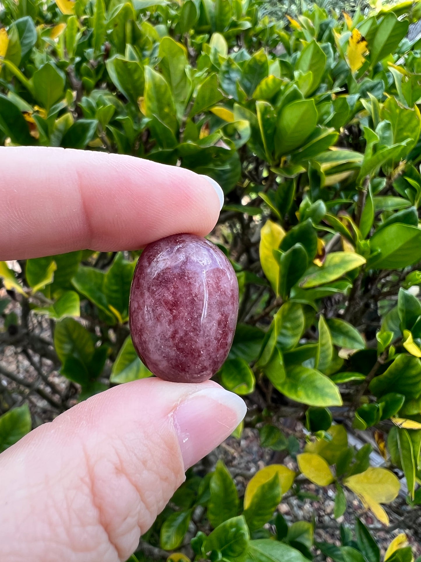Strawberry Quartz Tumble