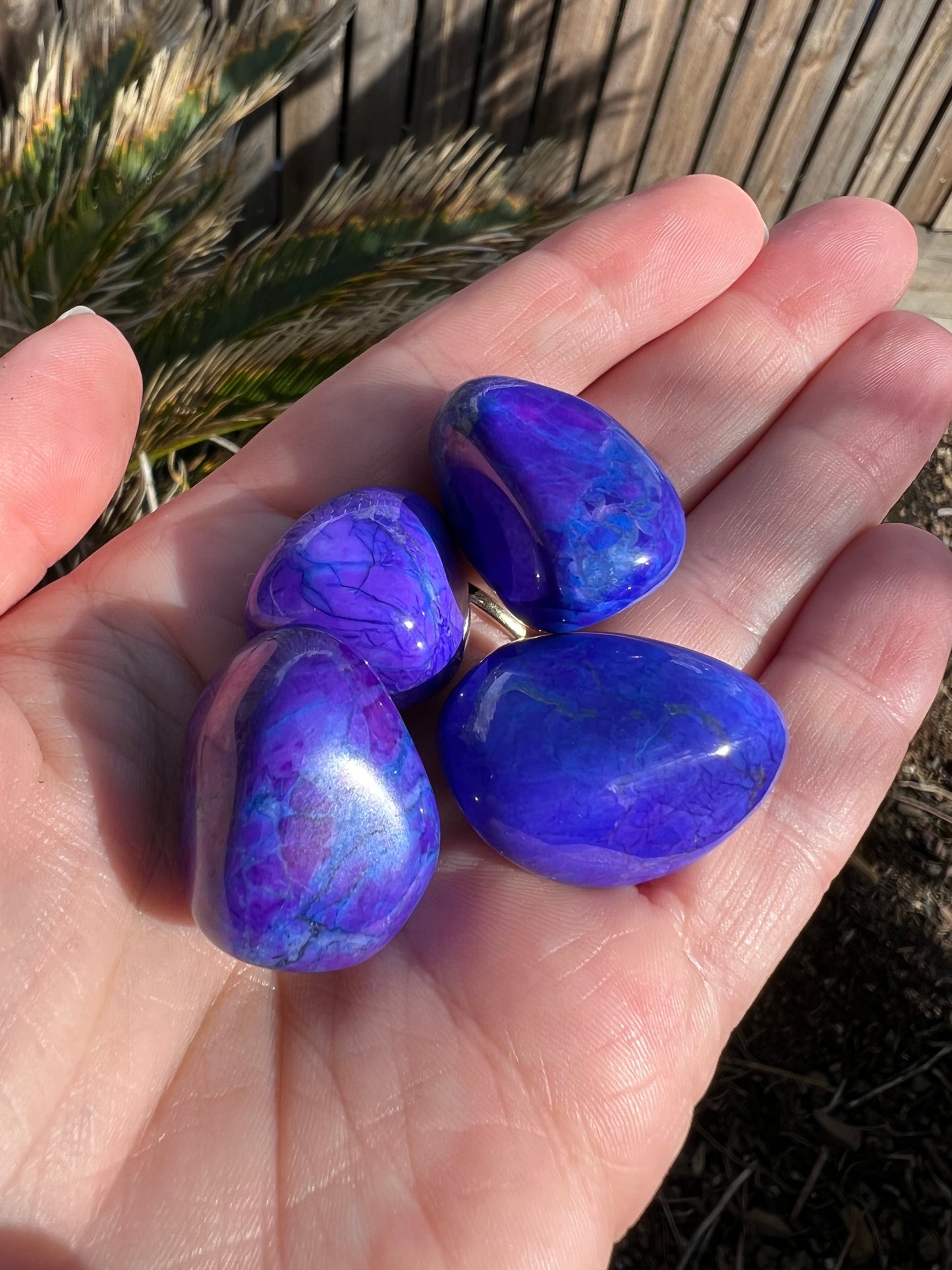 Purple Howlite Tumble