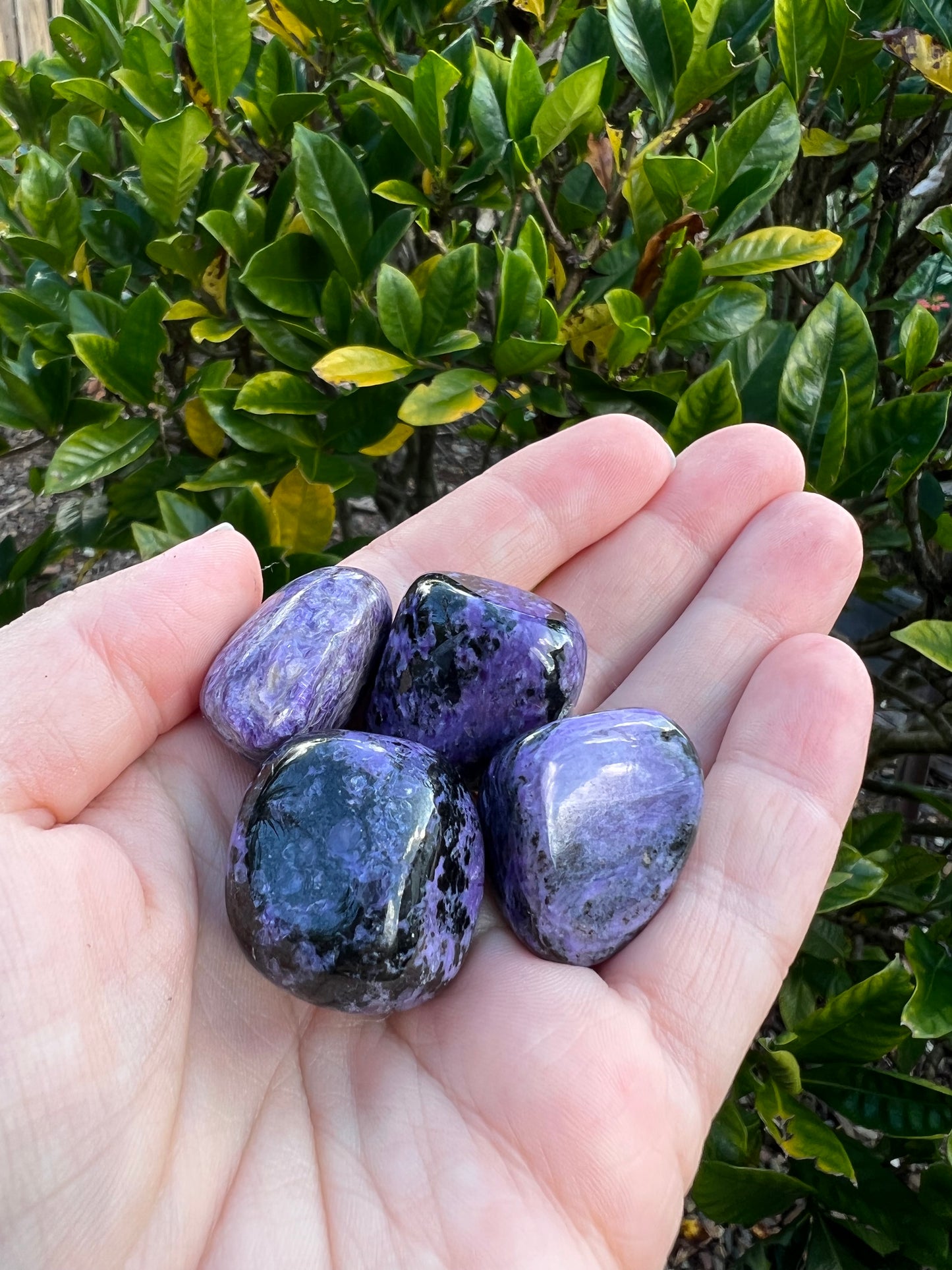 Charoite Tumble