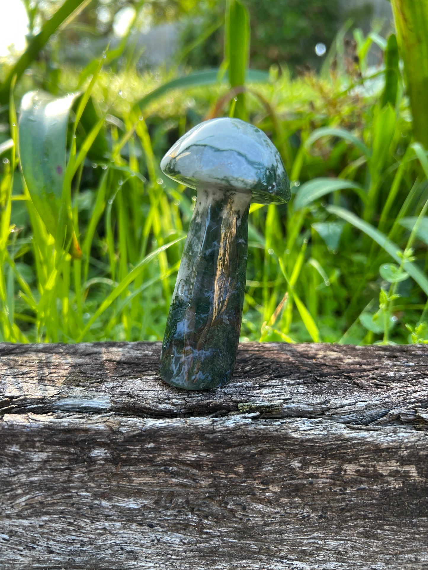 Moss Agate Mushroom