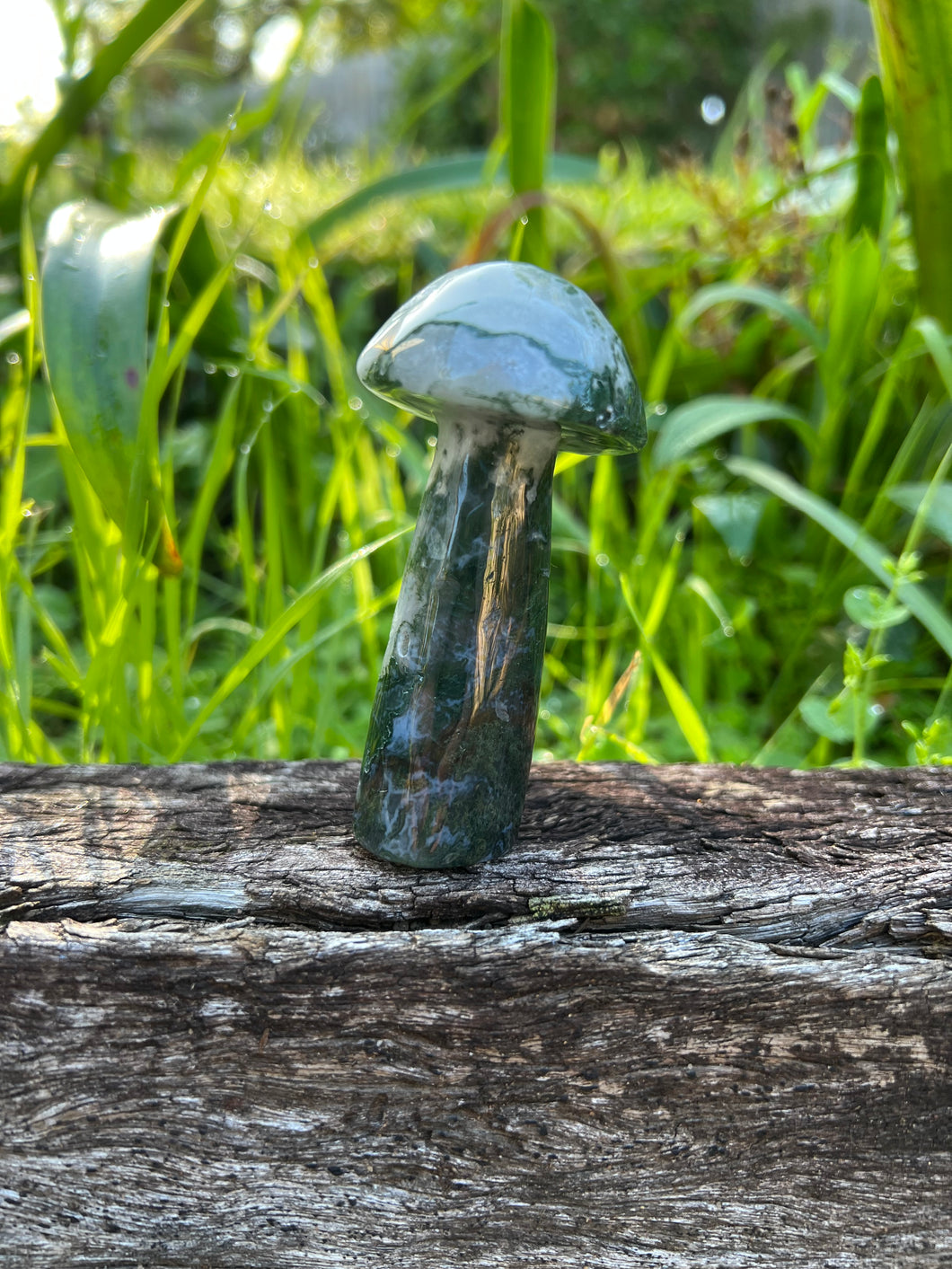 Moss Agate Mushroom