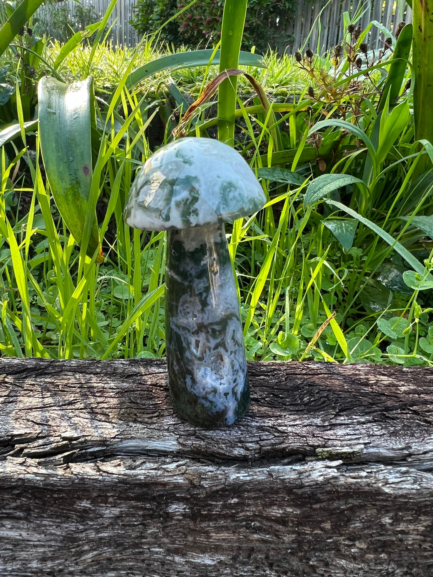 Moss Agate Mushroom
