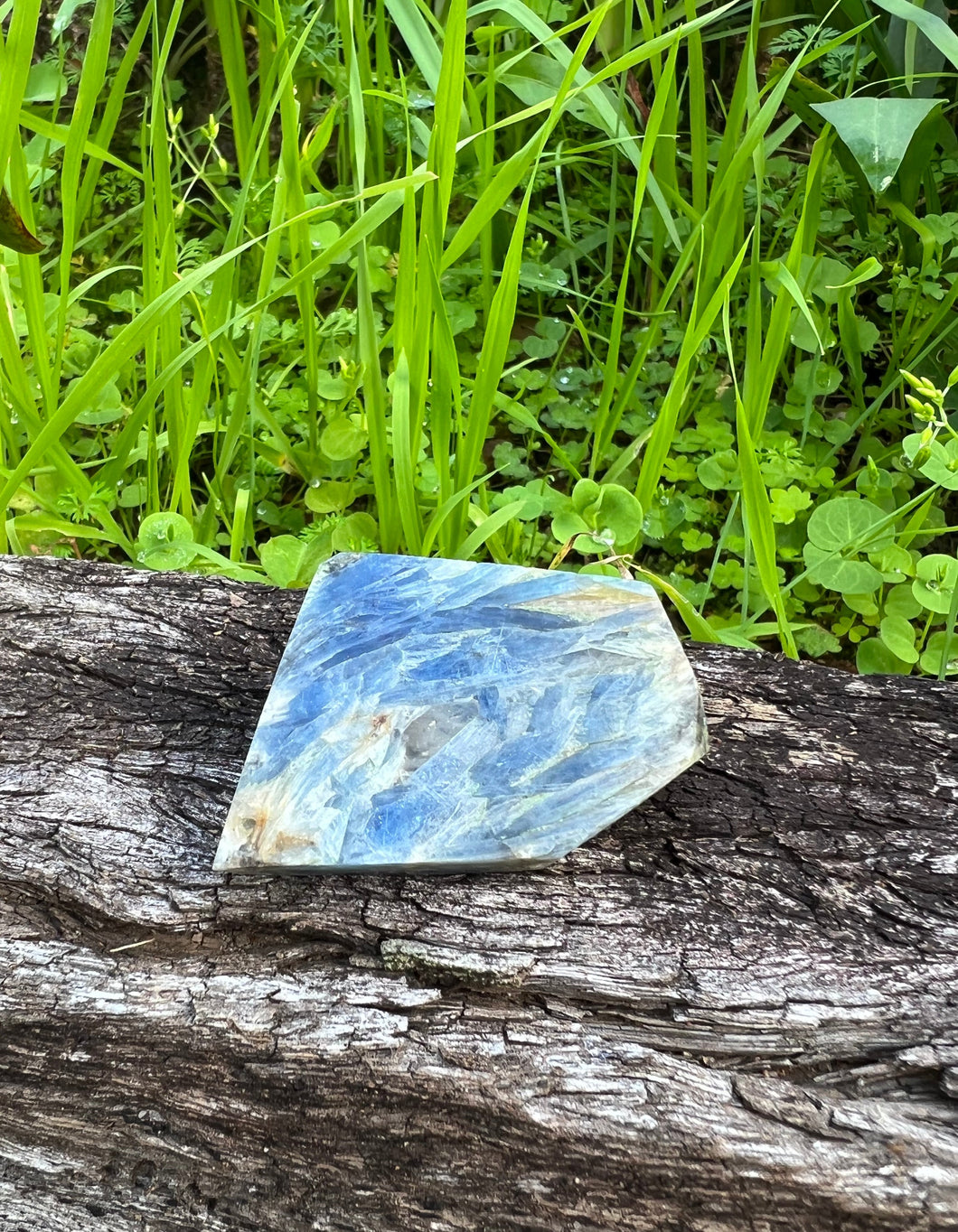 Blue Kyanite Freeform