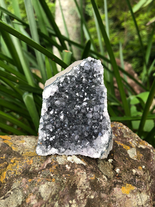 Amethyst Geode