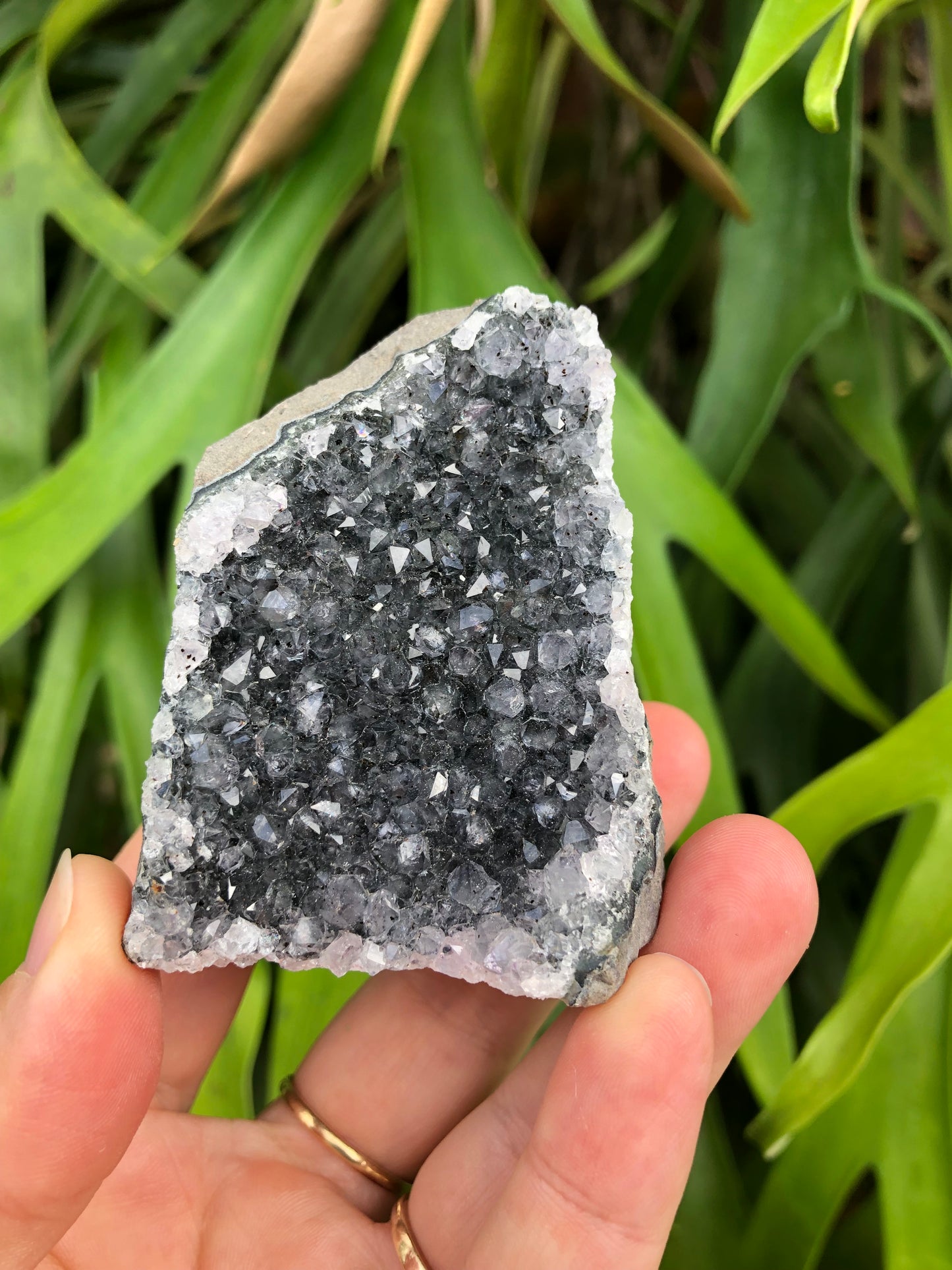 Amethyst Geode