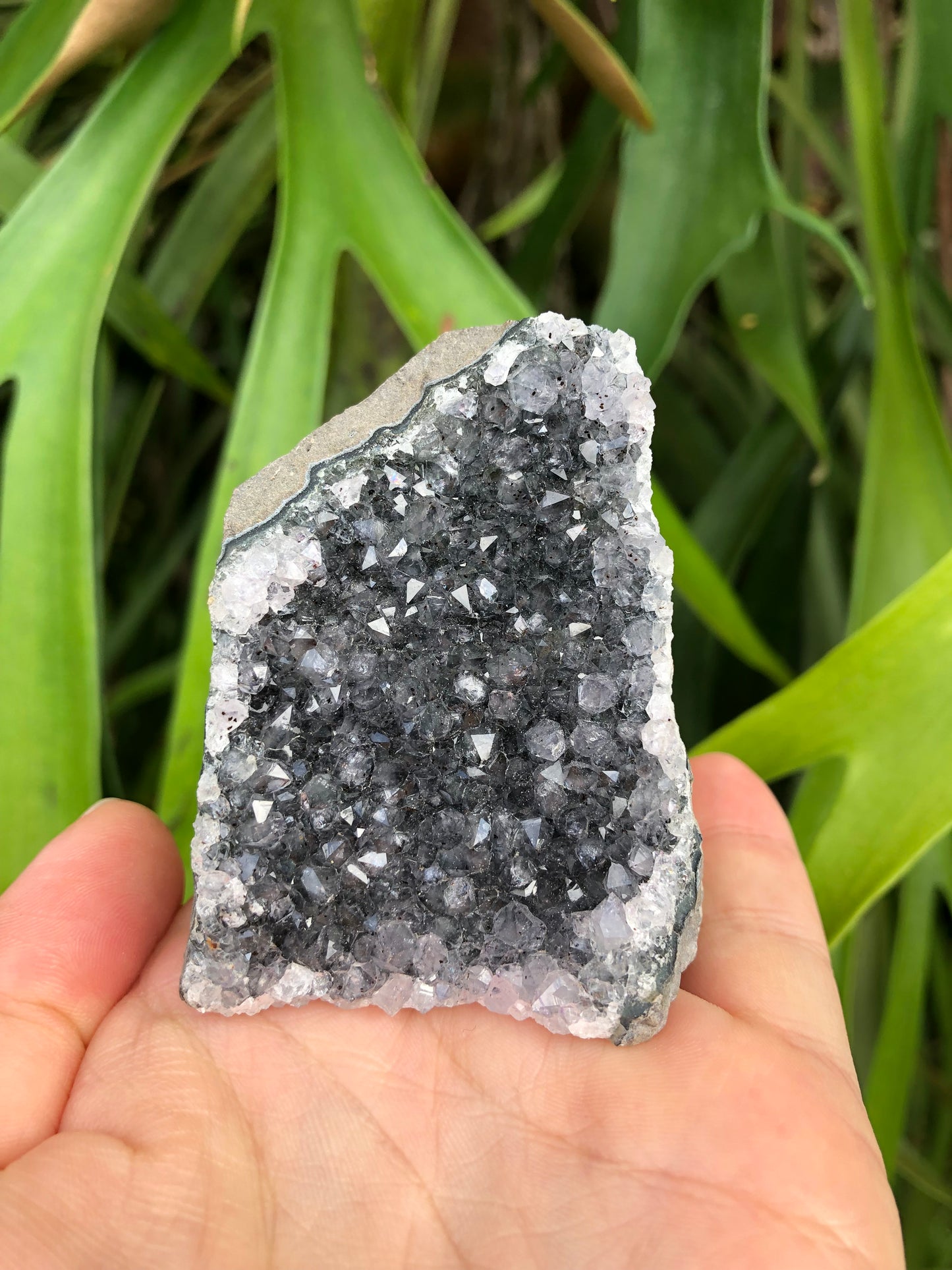 Amethyst Geode