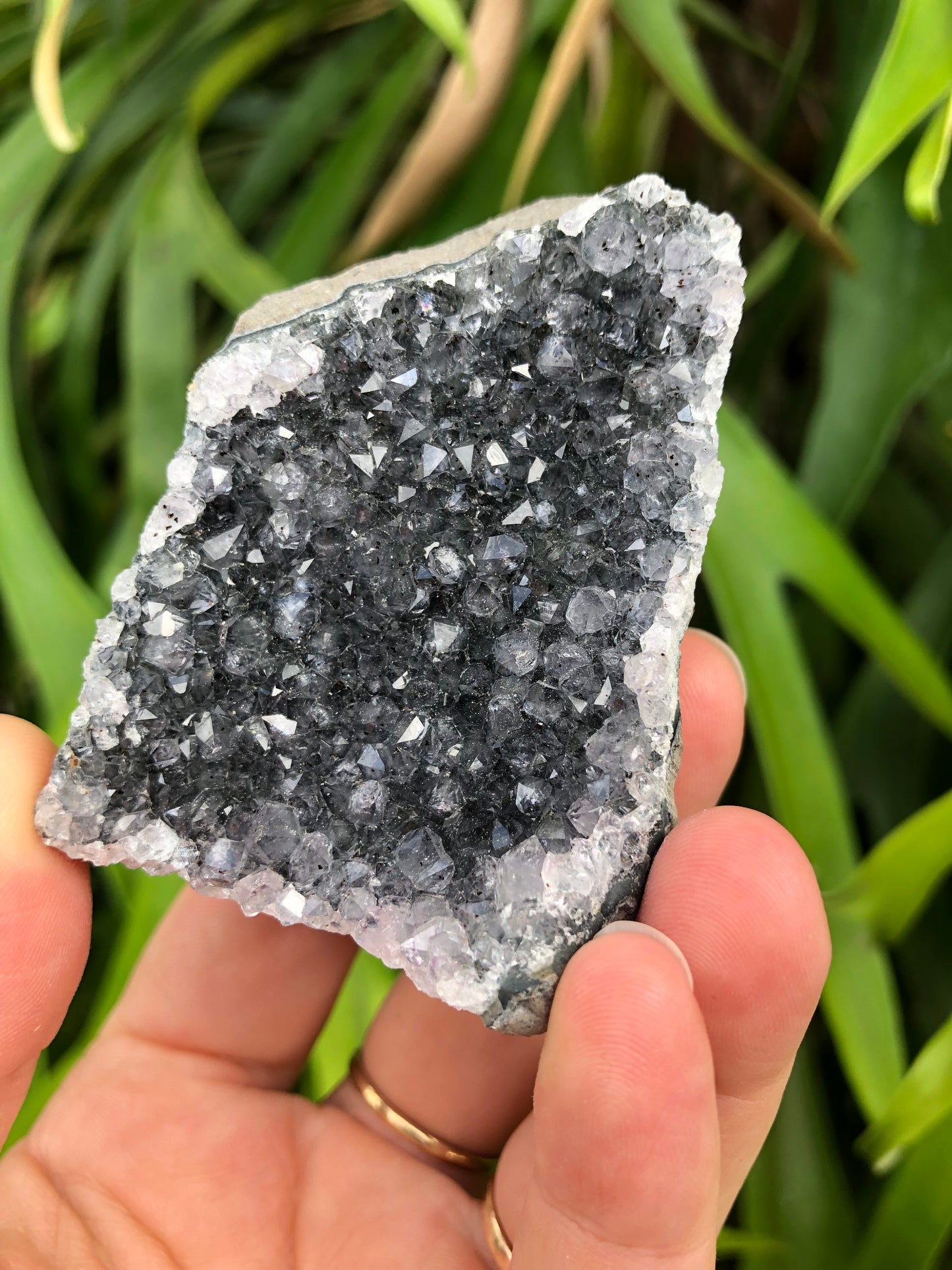Amethyst Geode