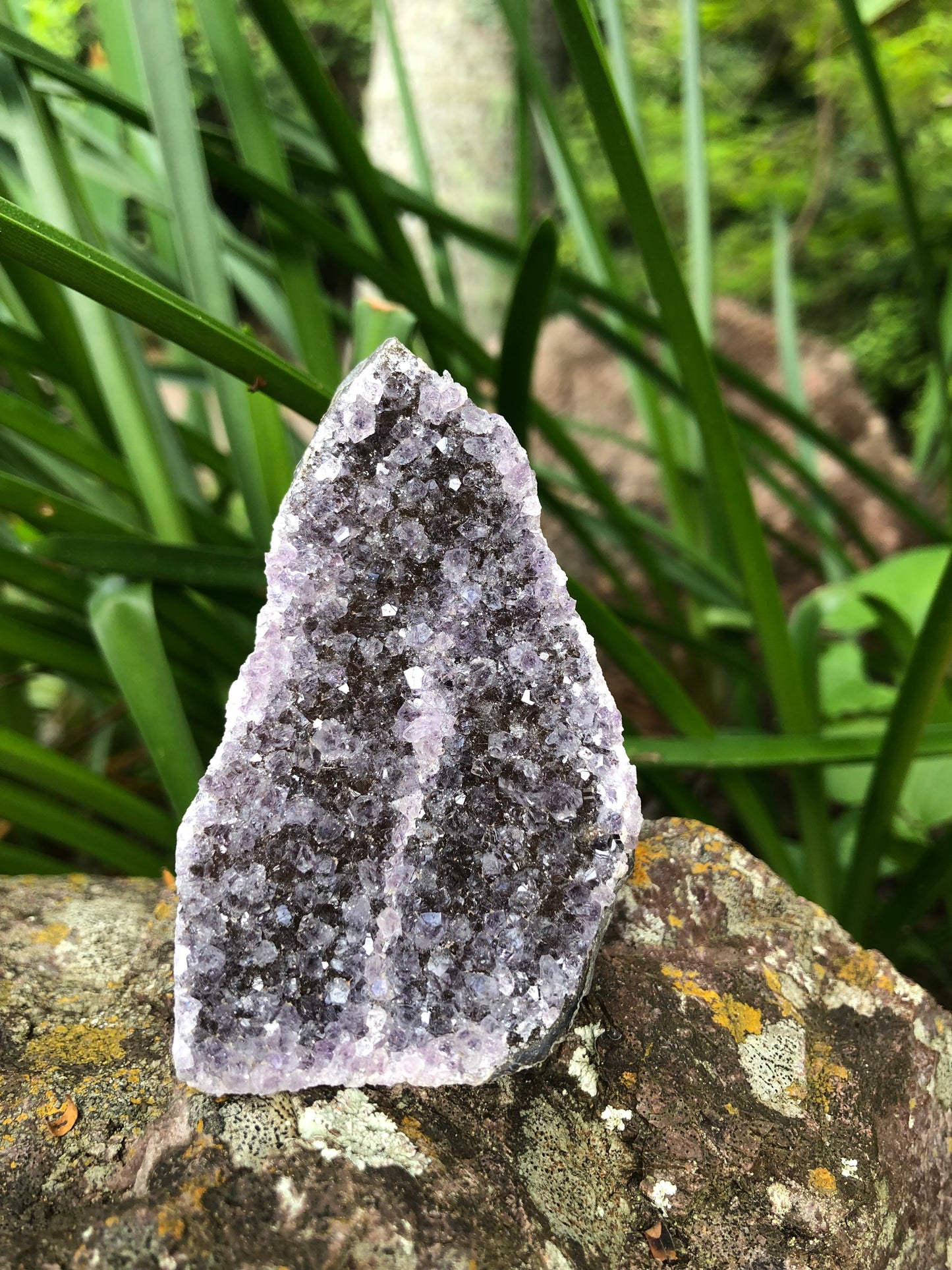 Amethyst Geode