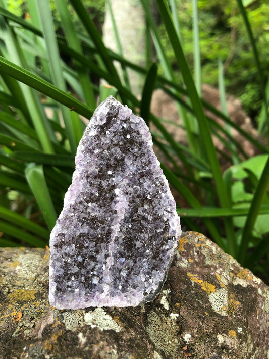 Amethyst Geode