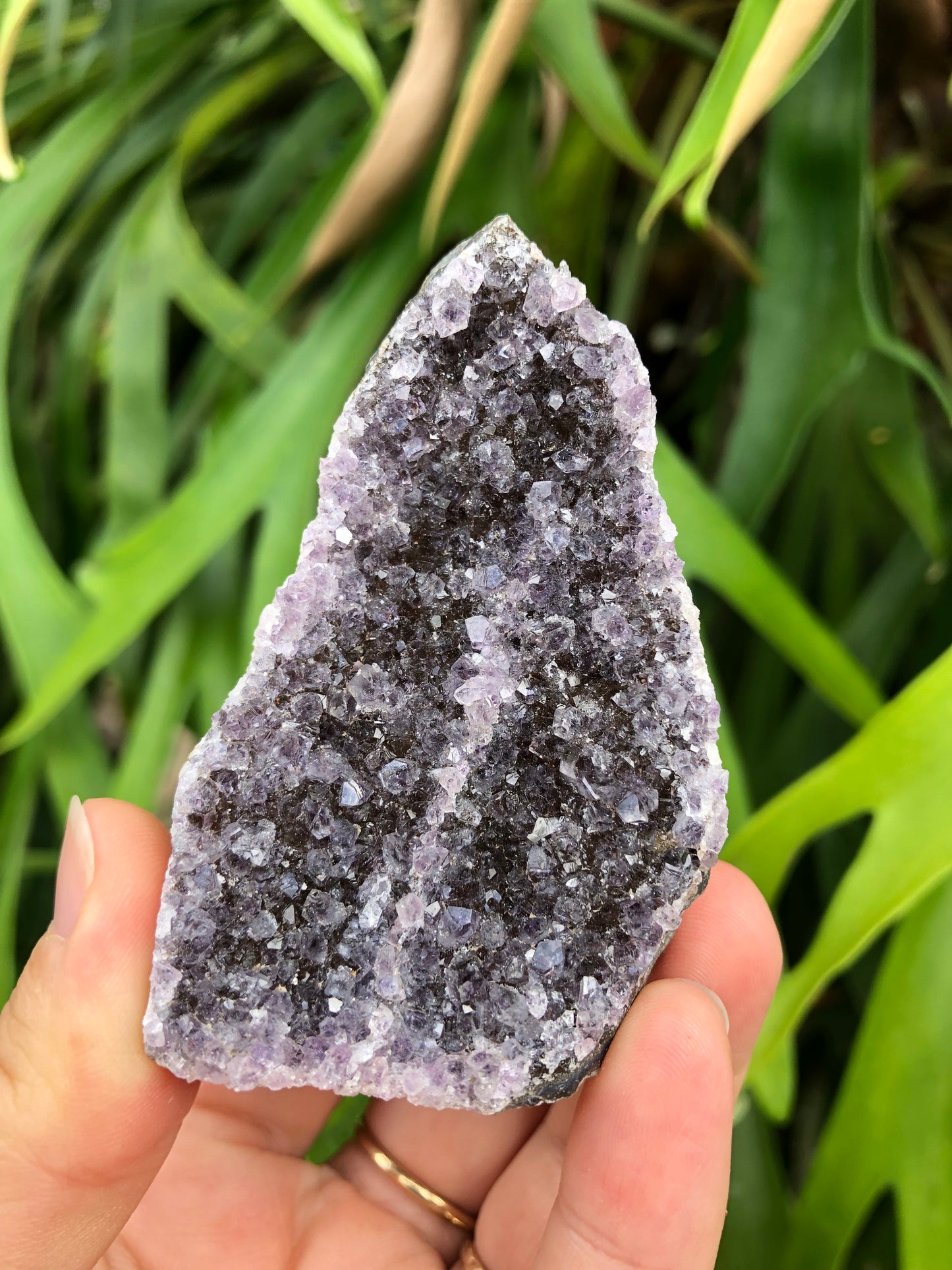 Amethyst Geode