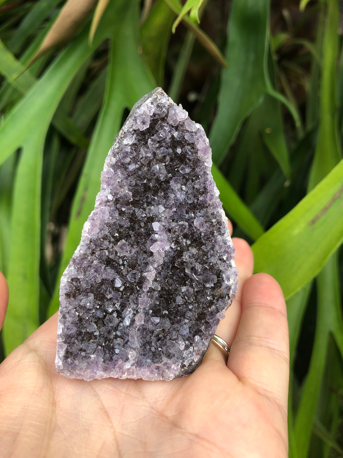 Amethyst Geode